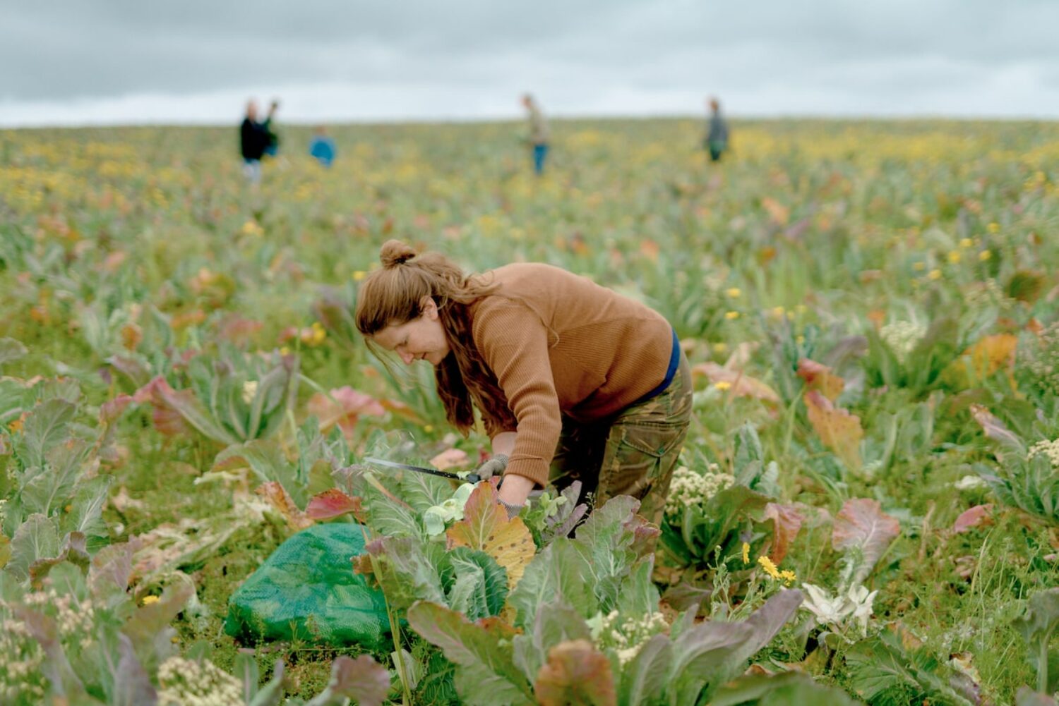 Food system