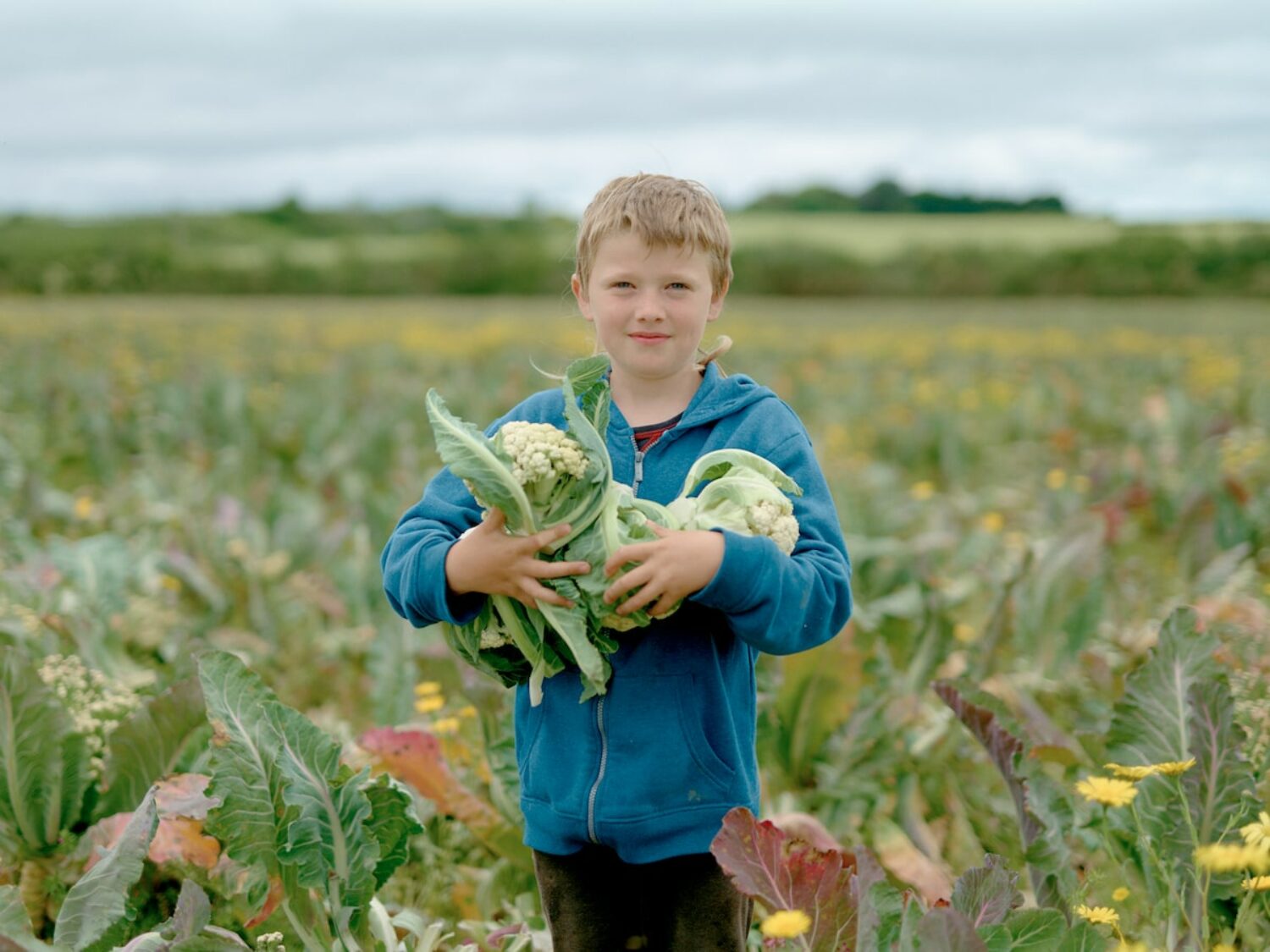 Gleaners