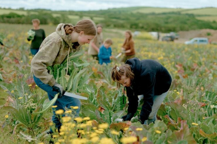 Image for Salvaging crops and tackling a broken food system: meet the ‘gleaners’