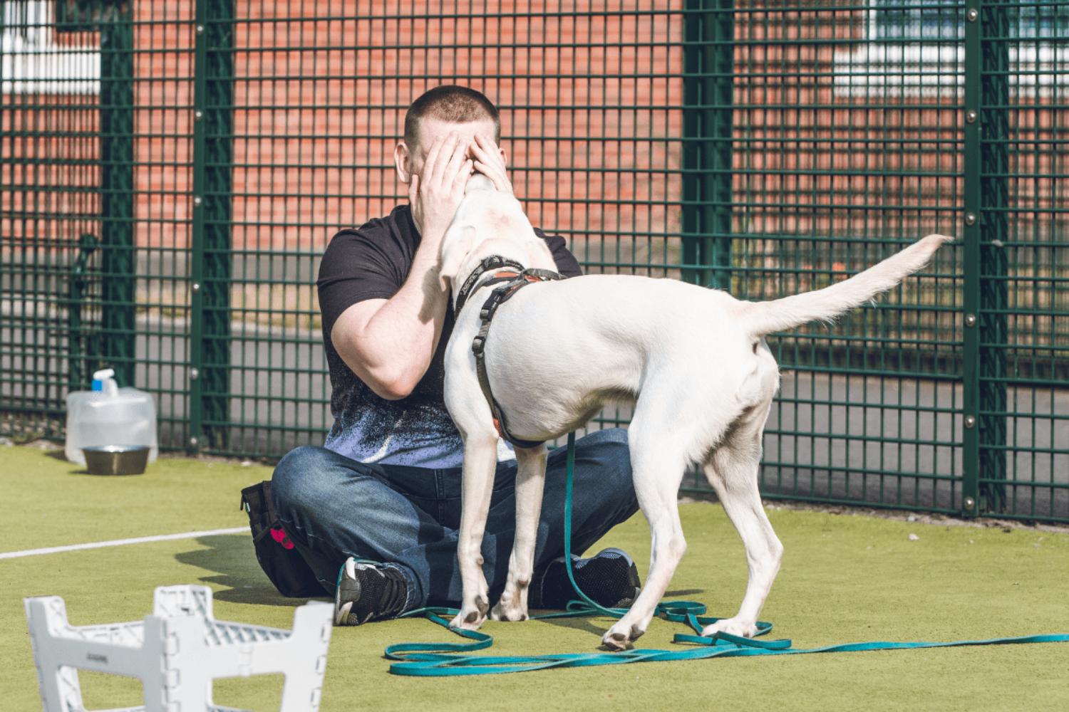 prison england dogs