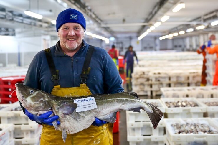 Image for British cod is labelled sustainable for the first time in 20 years