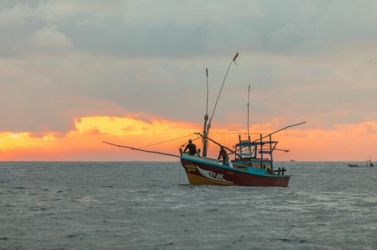 Image for Three good things: innovative projects to combat illegal fishing