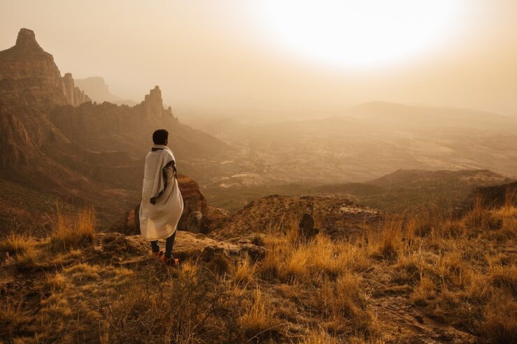 Image for Regreening Ethiopia’s drylands