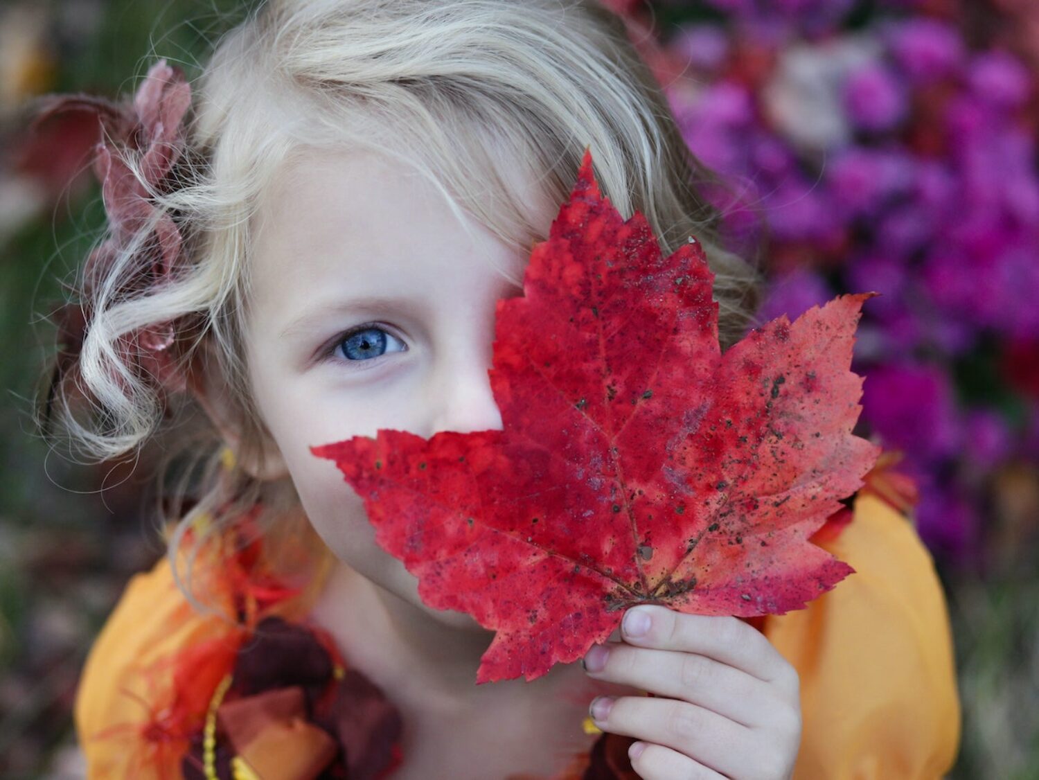 Forest schools