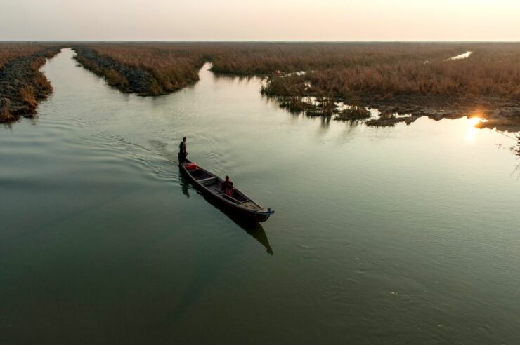 Image for How a disaster zone in Iraq became a conservation success story