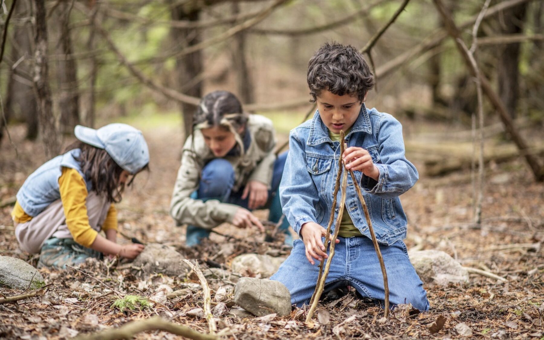 Image for Forest schools are booming in the UK – here’s why