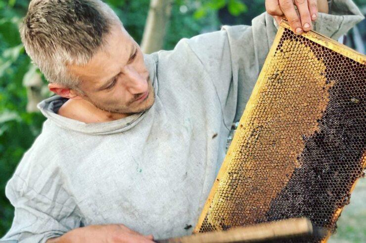 Image for ‘There will be honey’: supporting Ukrainian beekeepers in a time of war