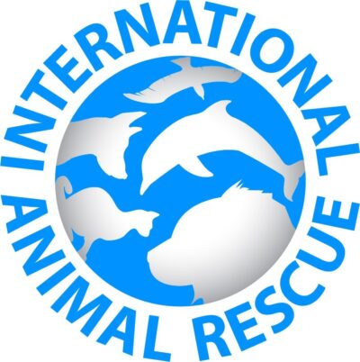 Image of International Animal Rescue