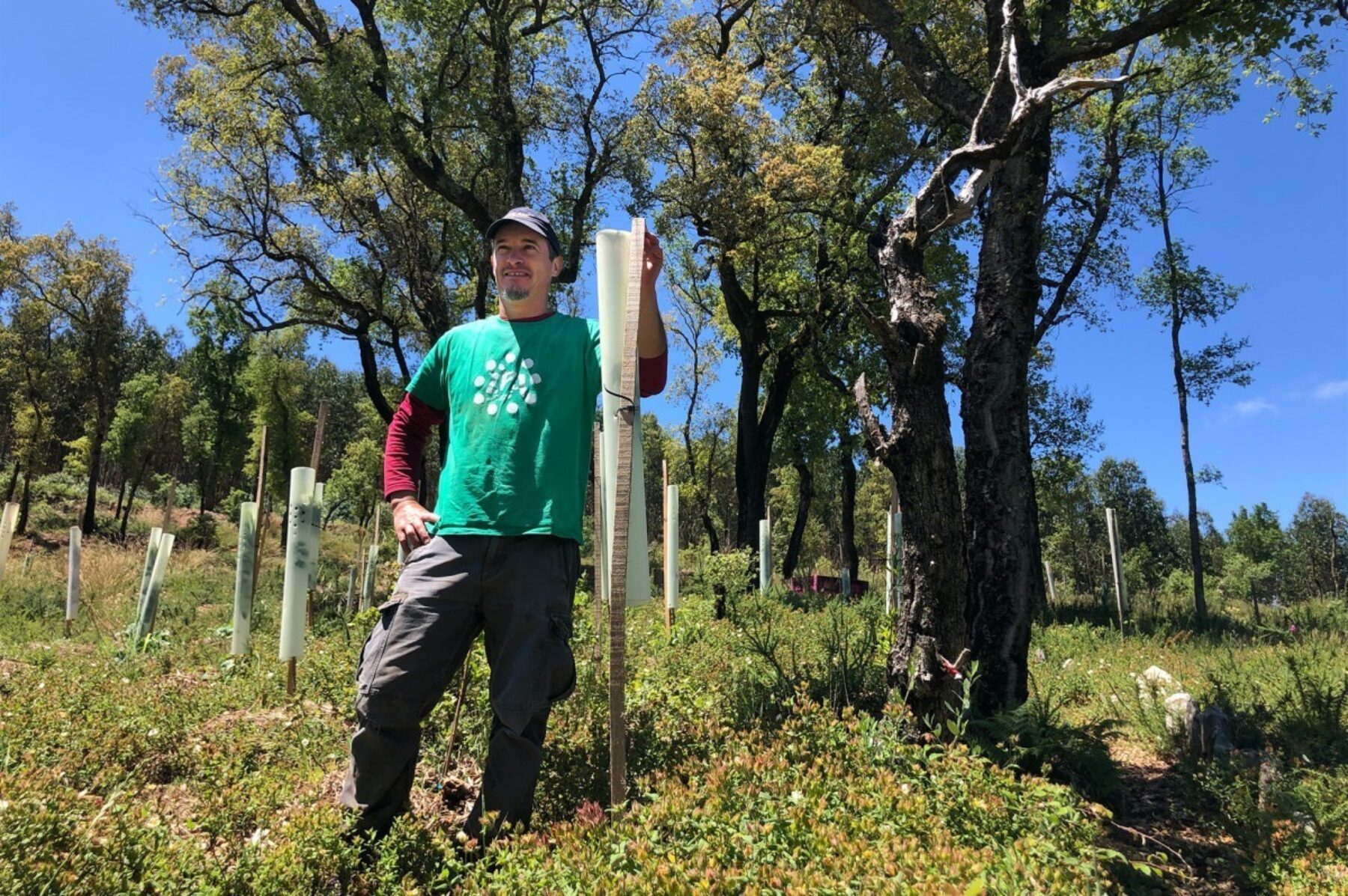 Image for ‘We’ve come so far’: how one village rose from the ashes of a wildfire