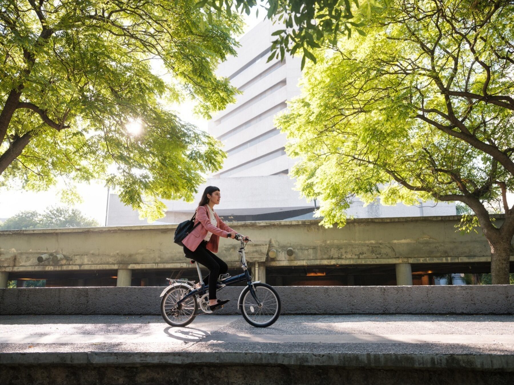 Image for Why people are starting to think differently about urban trees