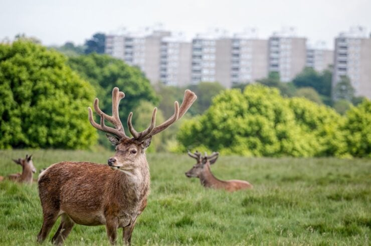 Image for What went right this week: England’s biodiversity benchmark, plus more