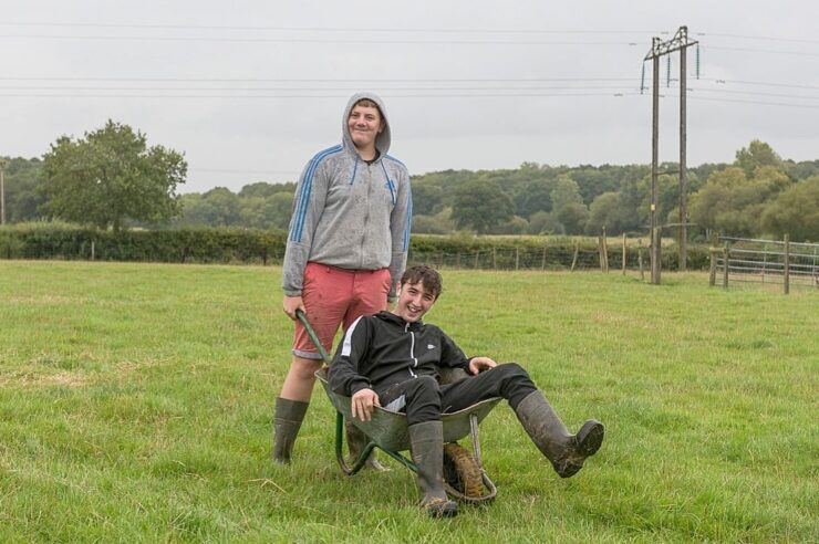 Image for ‘A shining light’: the care farms supporting people with mental health challenges