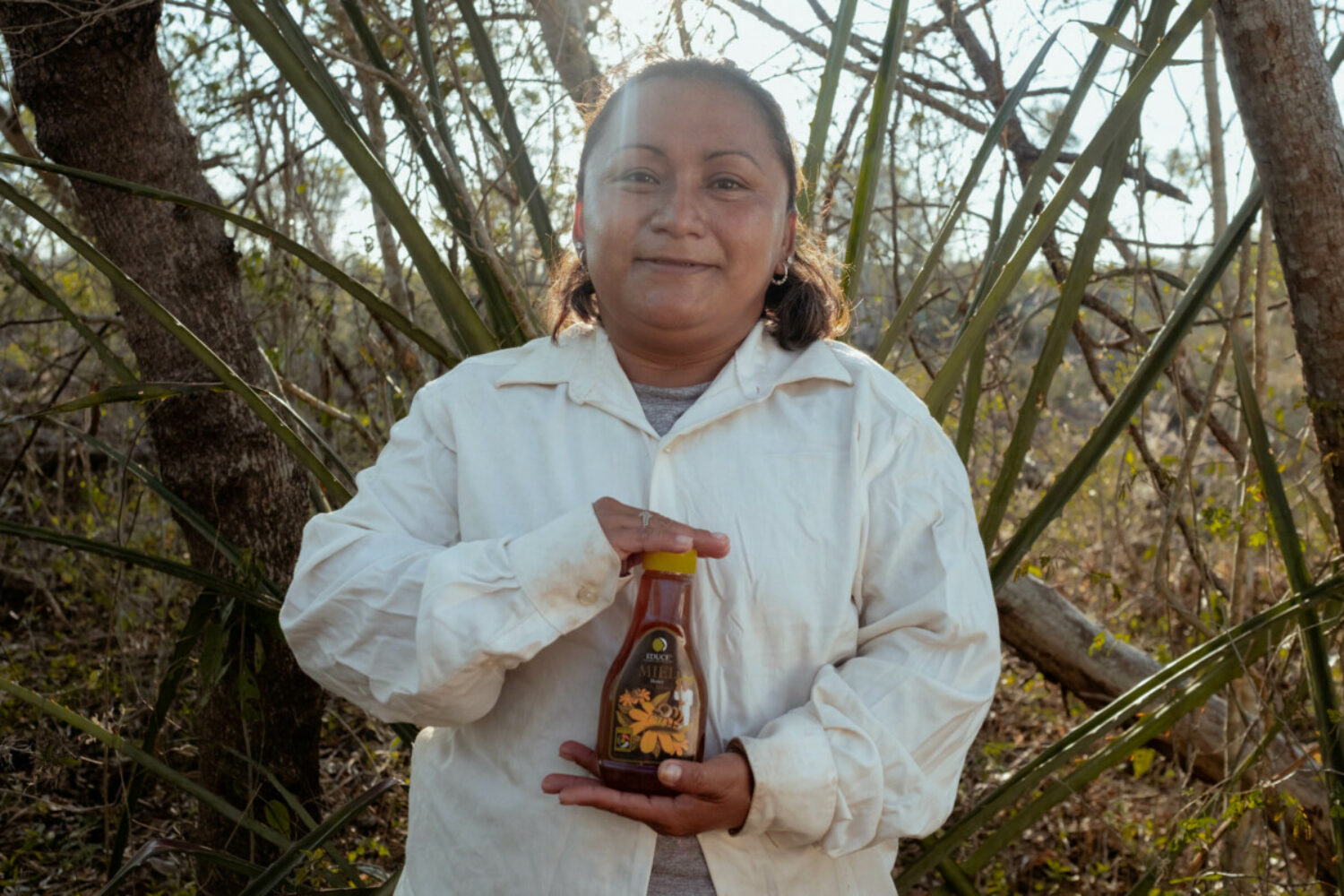 The Mexican honey co-op finding sweet success in a volatile sector