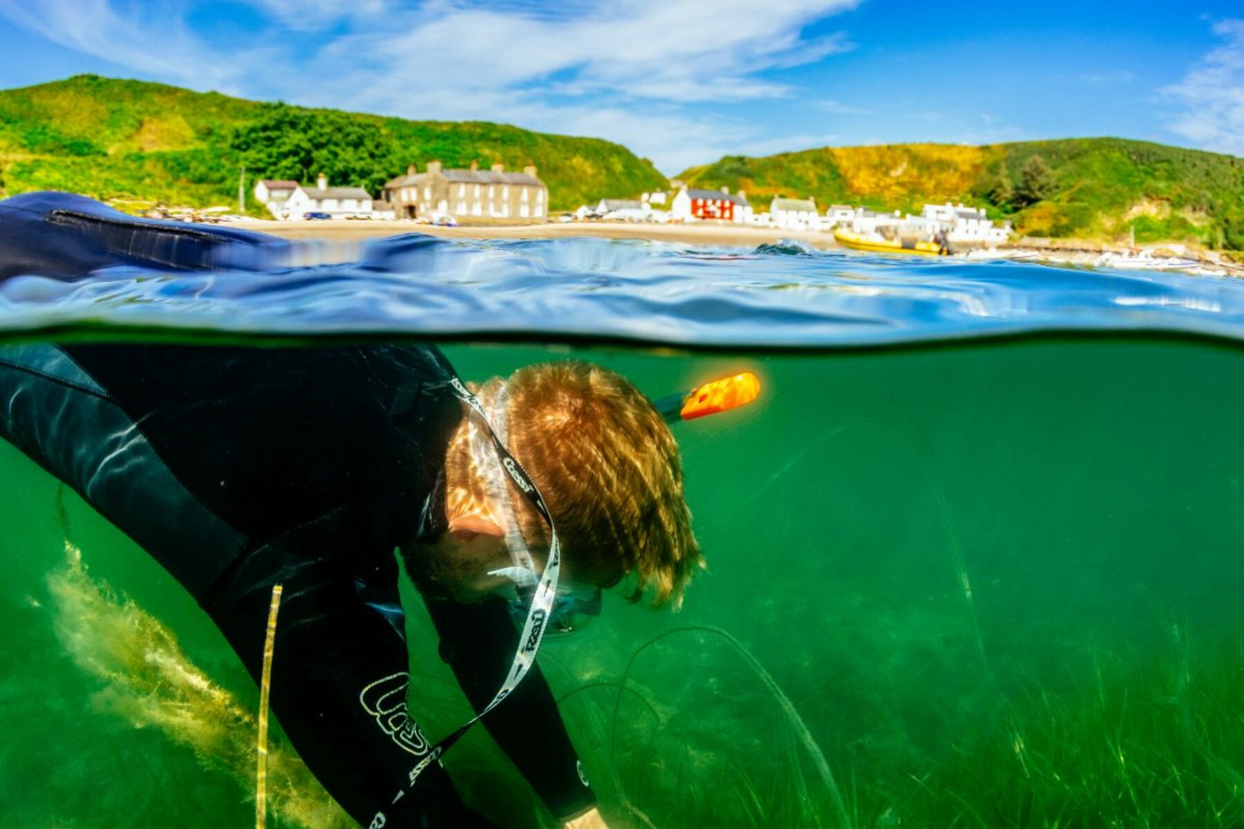 Image for In pictures: sowing sea meadows in the UK to fight climate change