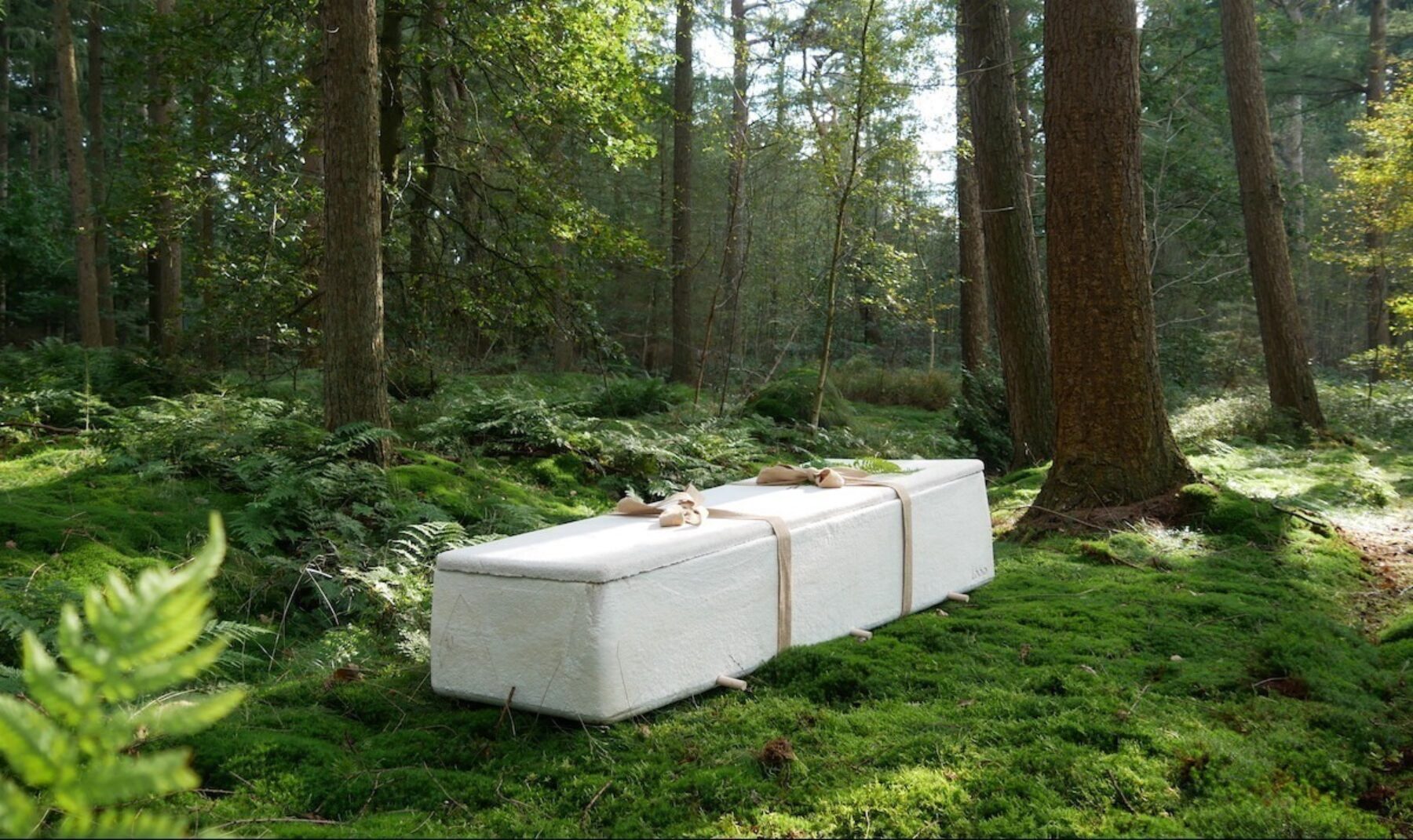 Image for The living coffin that transforms your body into compost