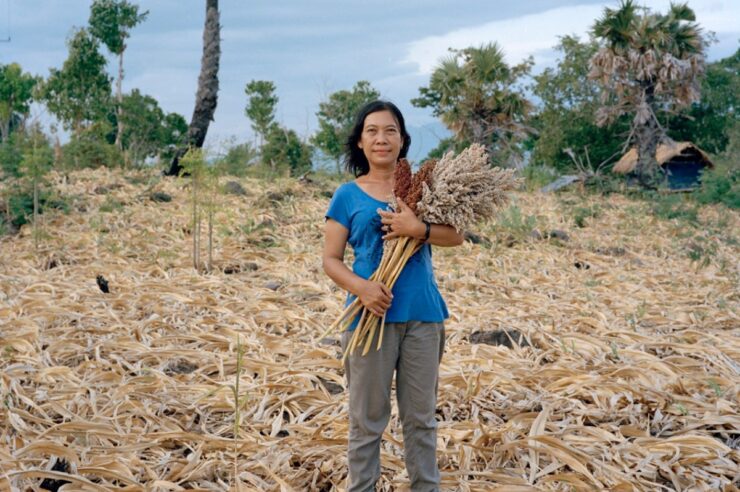 Image for Rediscovering native crops in Indonesia