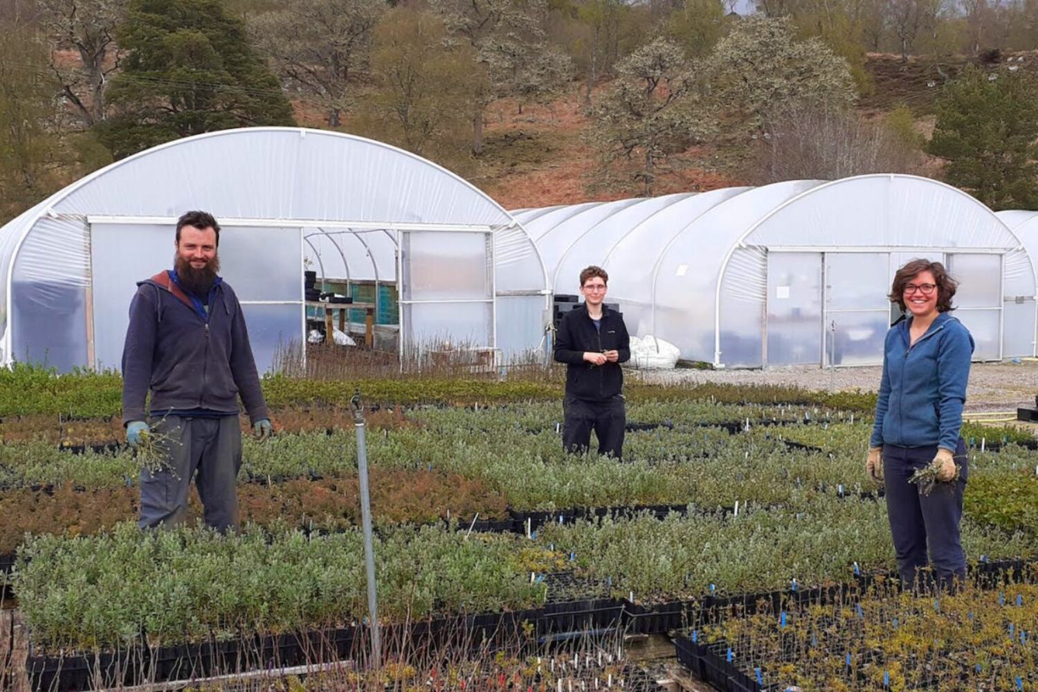 The volunteers rewilding the Scottish Highlands during lockdown