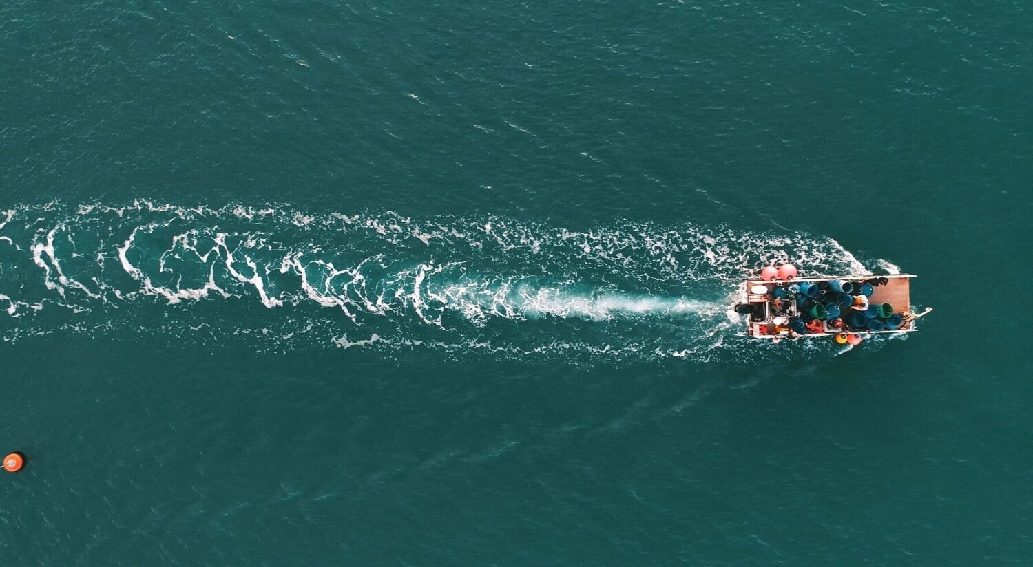 Its ‘underwater gardens’ echo a tradition of sustainably harvesting the local waters: we dive into Wales’ underwater farming revolution