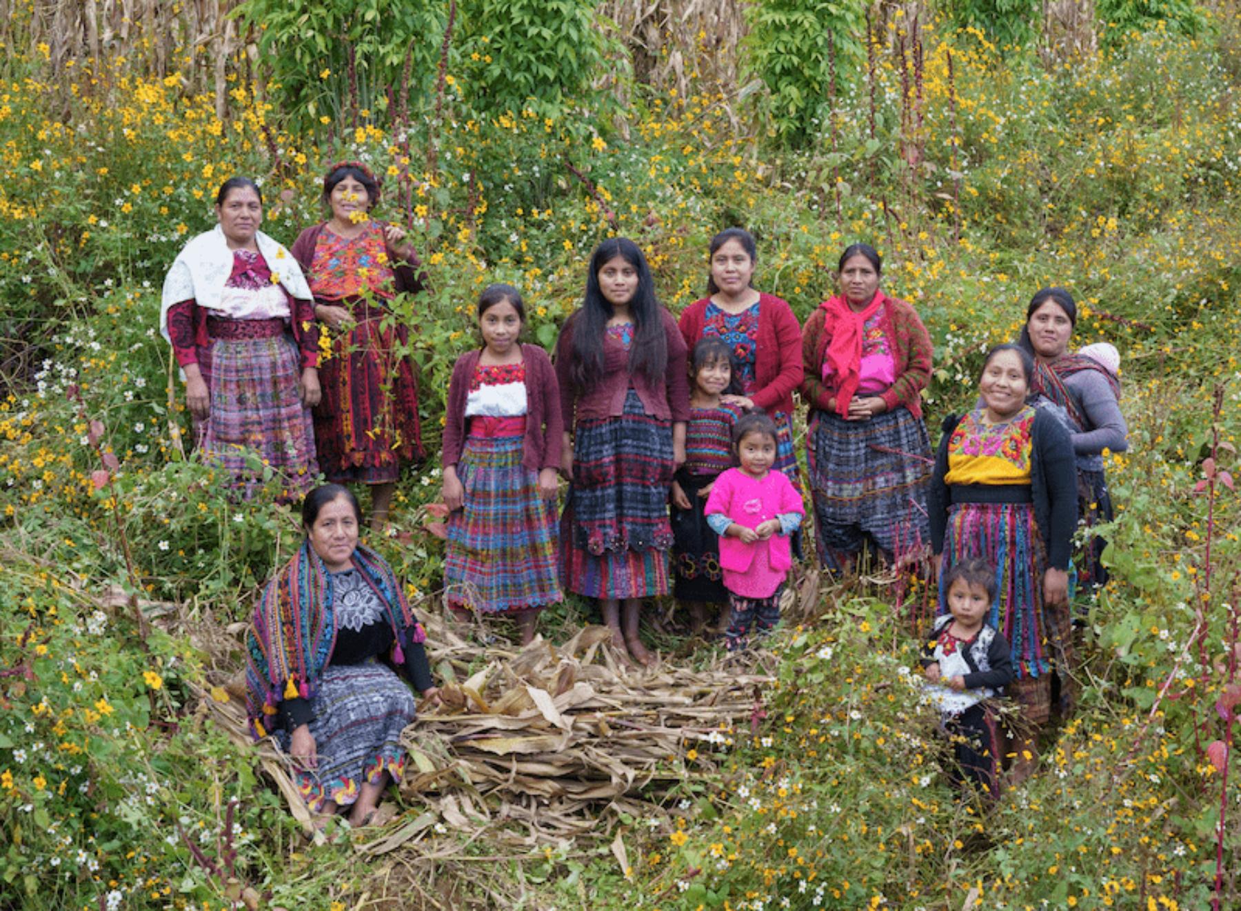 Image for Circles of hope: the Guatemalan women reviving Indigenous concepts of mental wellbeing